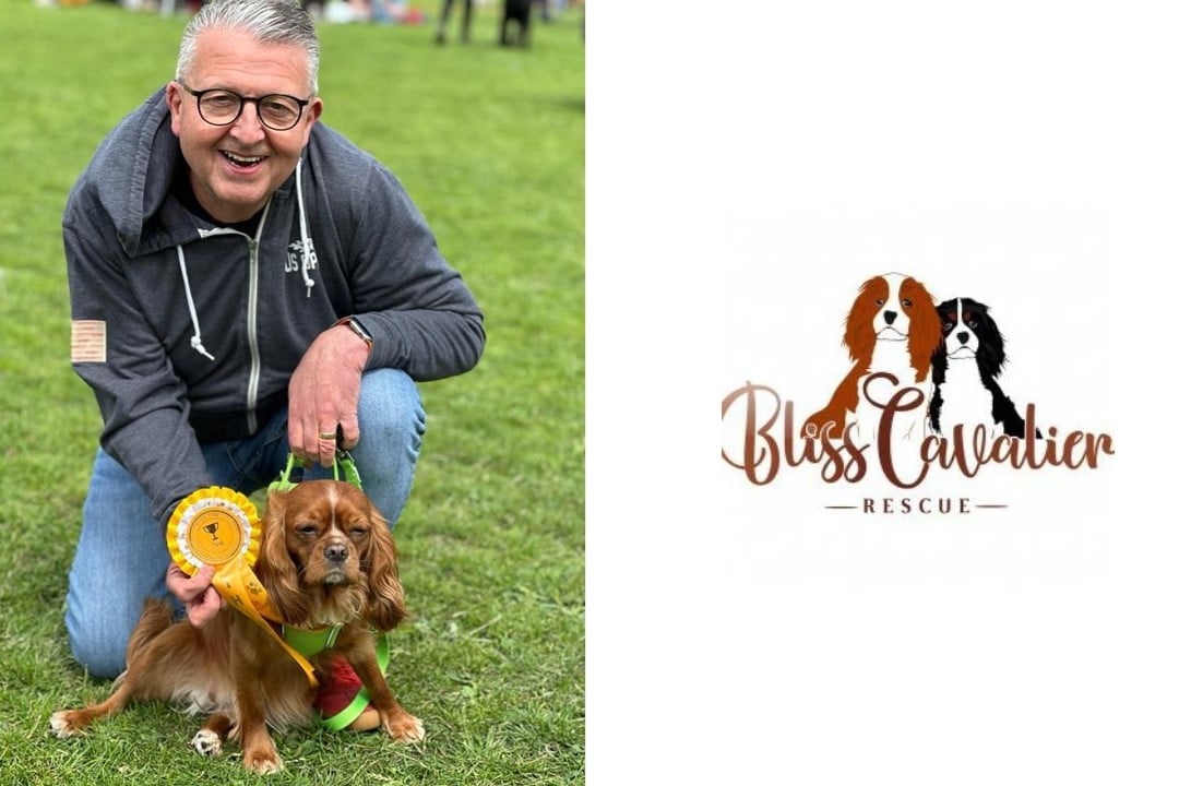 Ian to take a marathon walk to support Bliss Cavalier Rescue